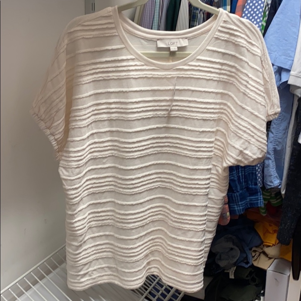 NWT loft shirt